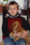 ENFANT ET CHIEN 311